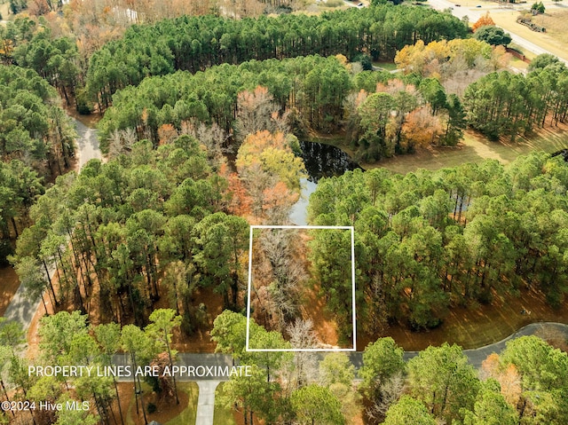 111 Loblolly Ct, Wallace NC, 28466 land for sale