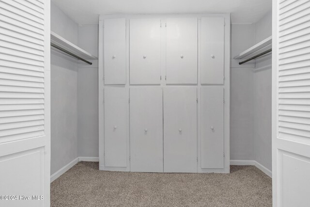 spacious closet featuring light carpet