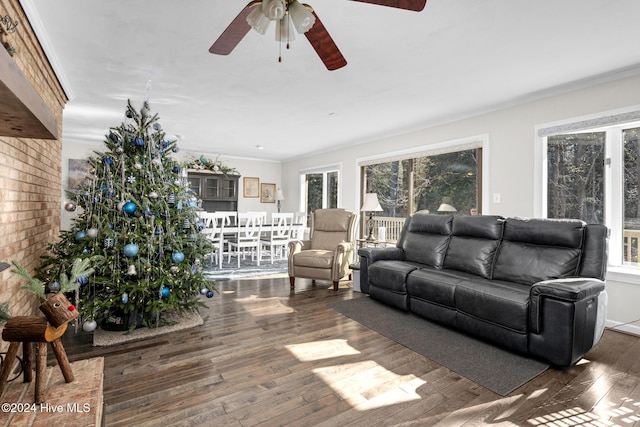 living room with ceiling fan, dark hardwood / wood-style floors, and ornamental molding