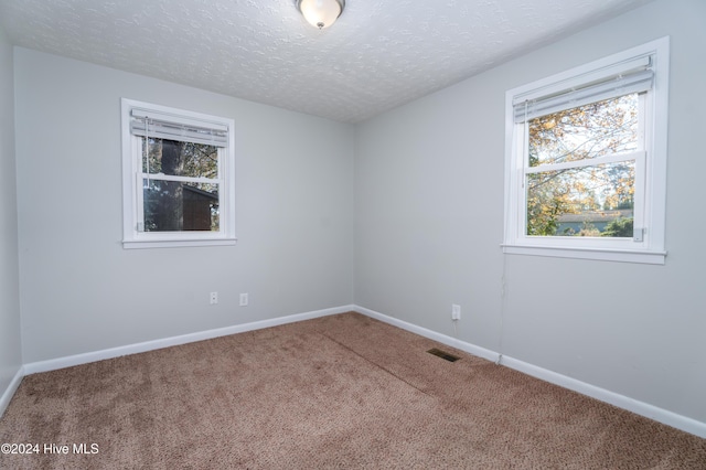 unfurnished room with carpet flooring and a textured ceiling