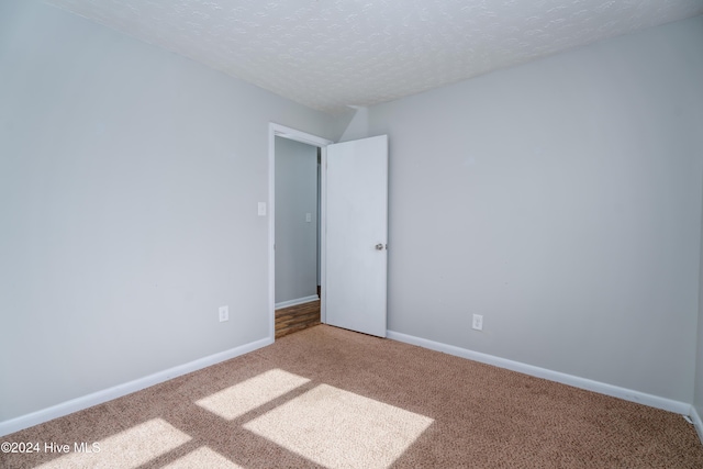 spare room featuring carpet flooring and a textured ceiling