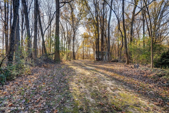 4027 Green Forest Ct, Rocky Mount, NC 27804 - view of yard with an outbuilding and a garage