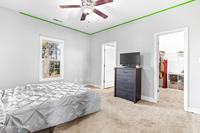 carpeted bedroom featuring ceiling fan, a walk in closet, and a closet