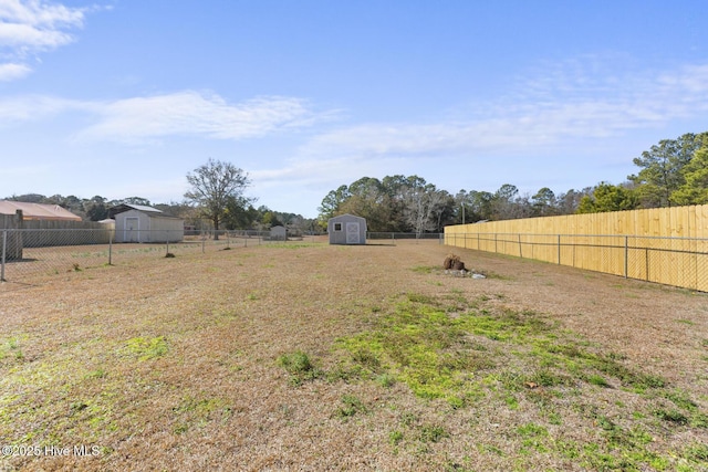 view of yard featuring a storage shed