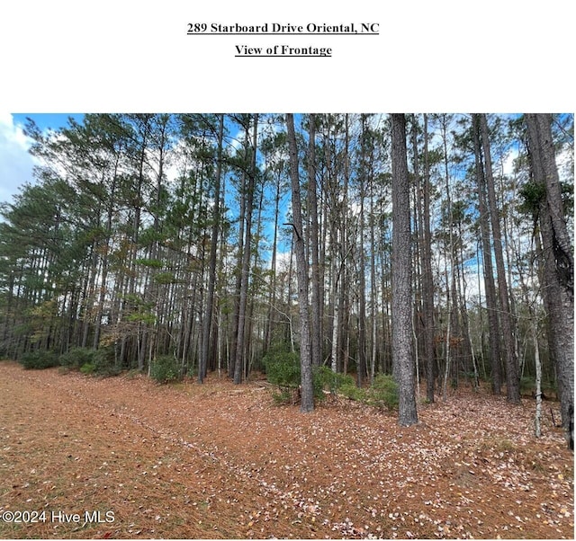 Listing photo 3 for 289 Starboard Dr Unit 11, Oriental NC 28571