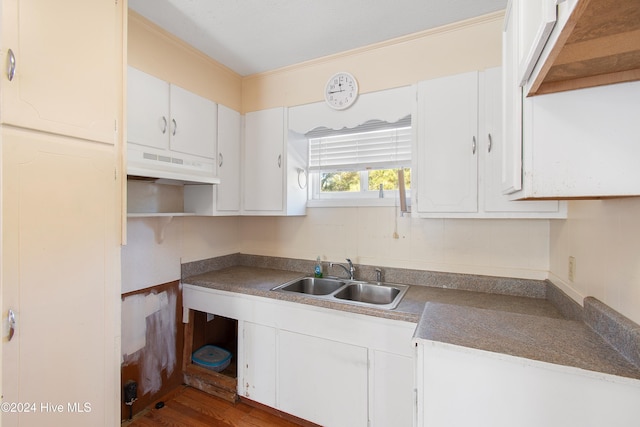 kitchen featuring under cabinet range hood, dark wood-style flooring, white cabinets, and a sink