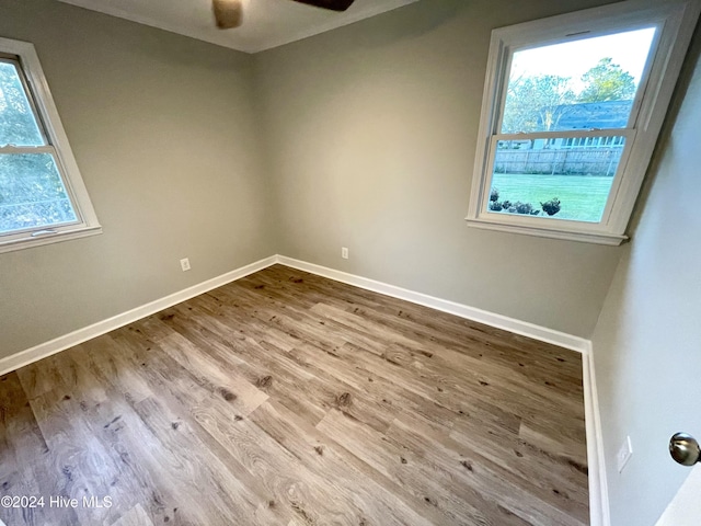 empty room with light hardwood / wood-style flooring, a wealth of natural light, and ceiling fan