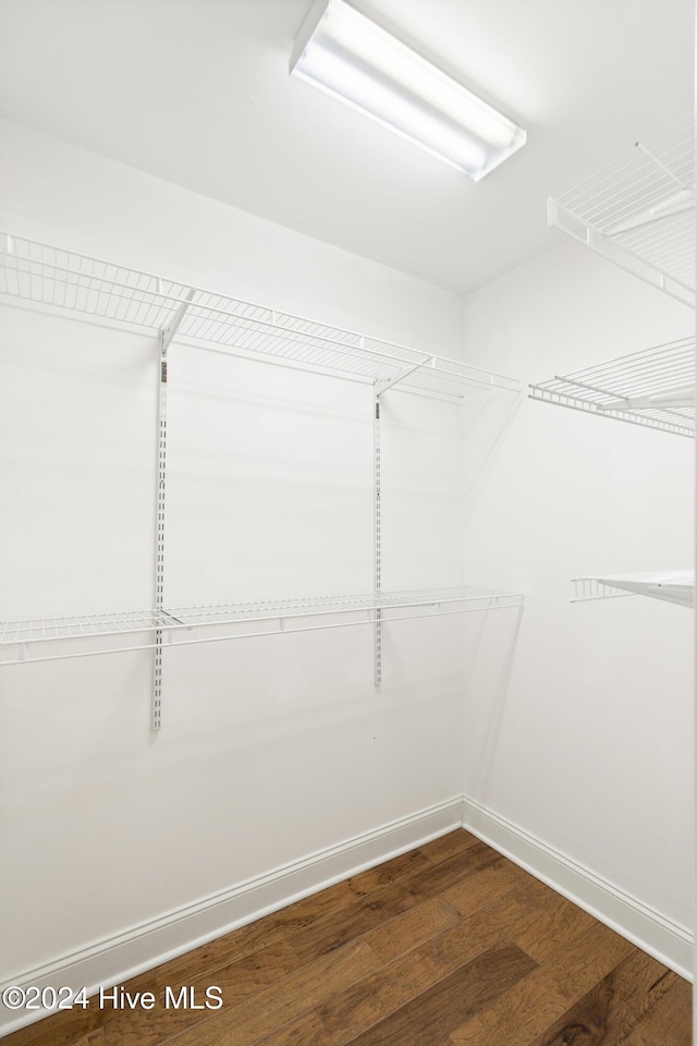 spacious closet featuring dark wood-type flooring