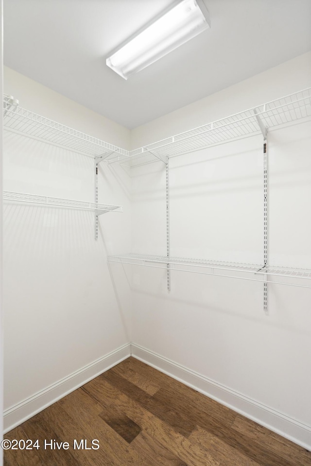 walk in closet with wood-type flooring