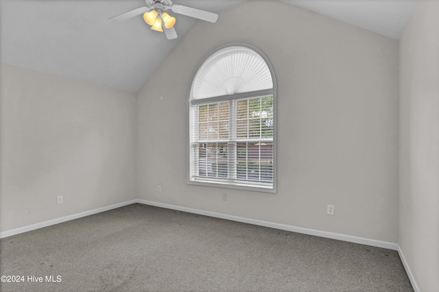 spare room featuring carpet flooring, ceiling fan, and lofted ceiling