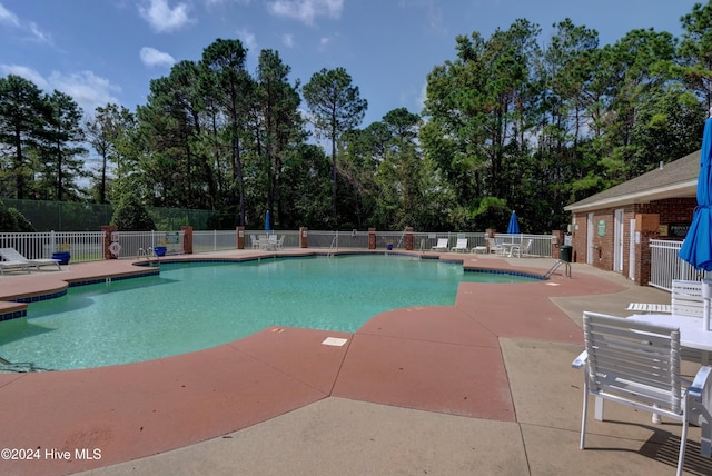 view of swimming pool featuring a patio area