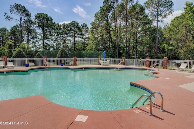 view of pool featuring a patio area