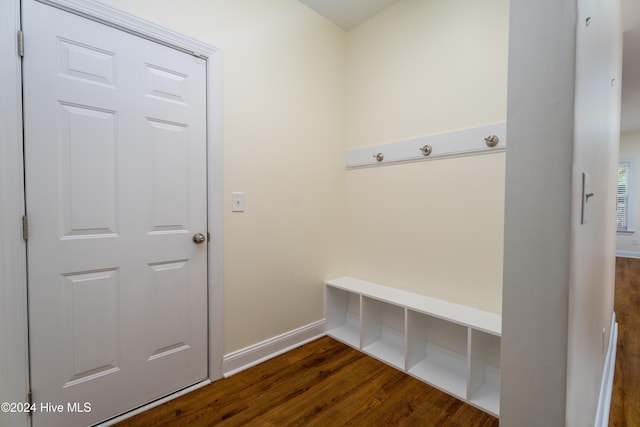 mudroom with dark hardwood / wood-style floors