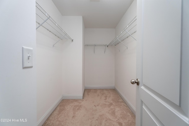 spacious closet with light colored carpet