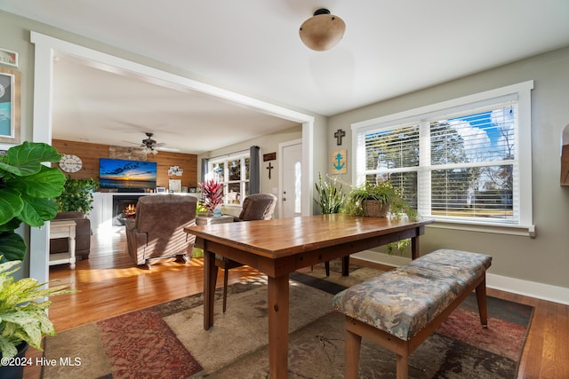 dining area featuring hardwood / wood-style floors, ceiling fan, and wood walls