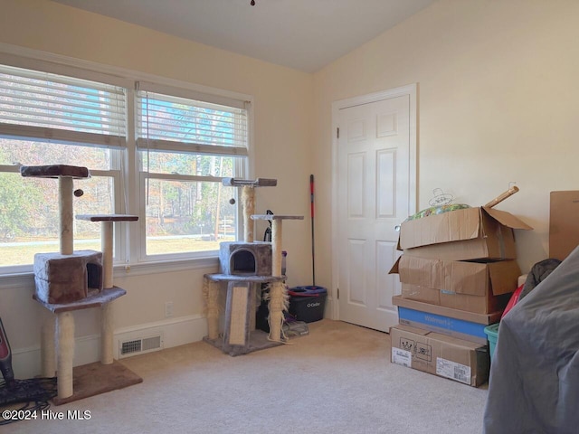 miscellaneous room featuring carpet flooring and lofted ceiling