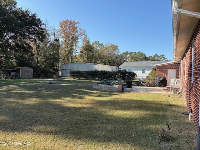 view of yard with a patio and a storage shed