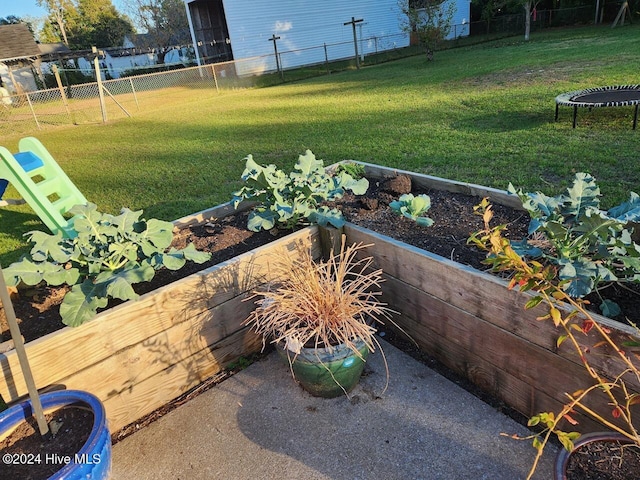 view of yard featuring a trampoline