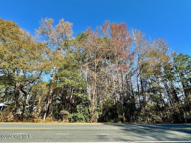 418 Academy St, Fair Bluff NC, 28439 land for sale