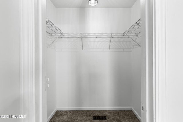 spacious closet featuring dark colored carpet