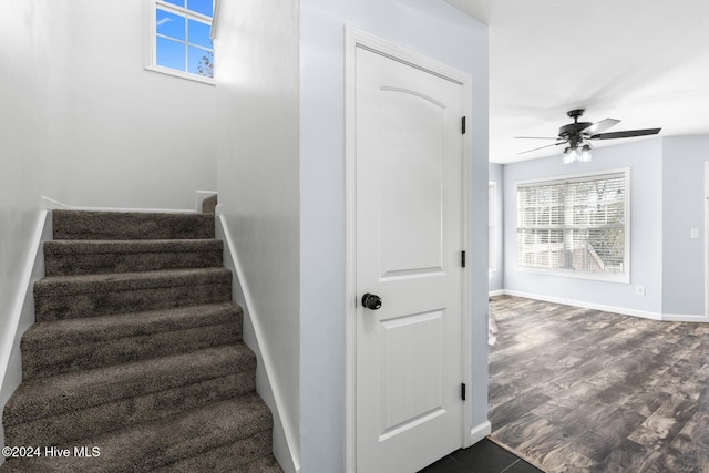 stairway with ceiling fan and wood-type flooring