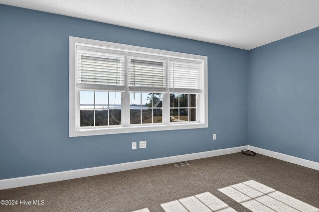 carpeted spare room with a textured ceiling