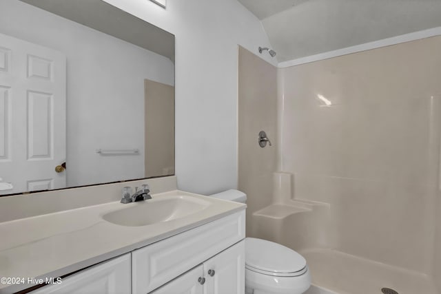 bathroom with vanity, toilet, and a shower