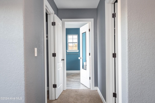 corridor with light colored carpet