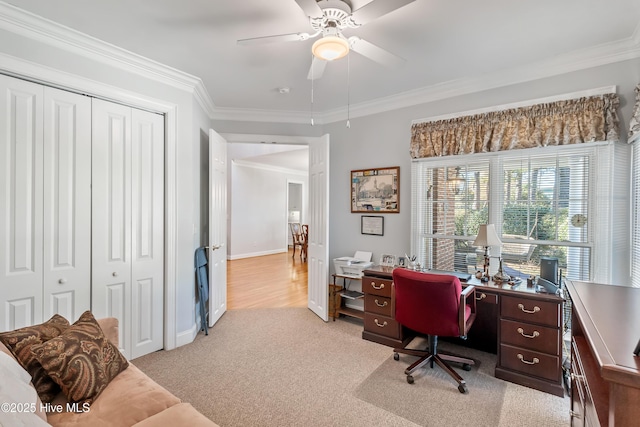 office space featuring ceiling fan, ornamental molding, and light carpet