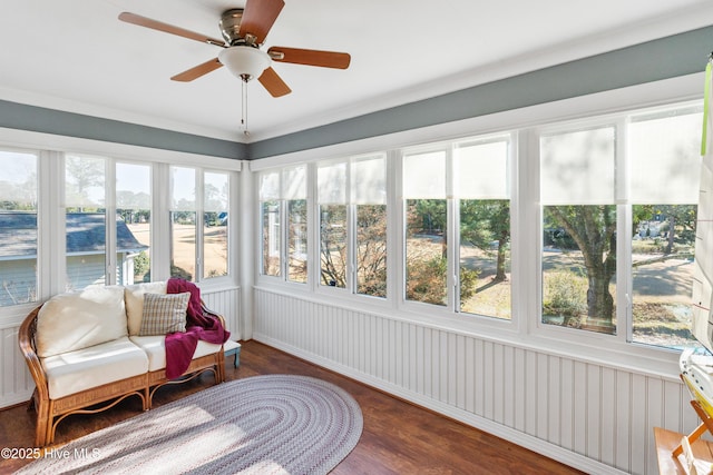 sunroom featuring ceiling fan and a healthy amount of sunlight