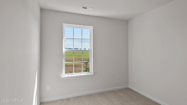 spare room with light carpet and a wealth of natural light