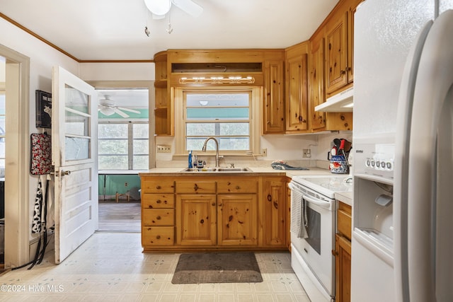 kitchen featuring crown molding, sink, ceiling fan, and white appliances