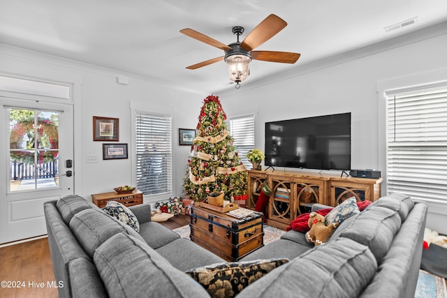 living room with hardwood / wood-style flooring, ceiling fan, and crown molding