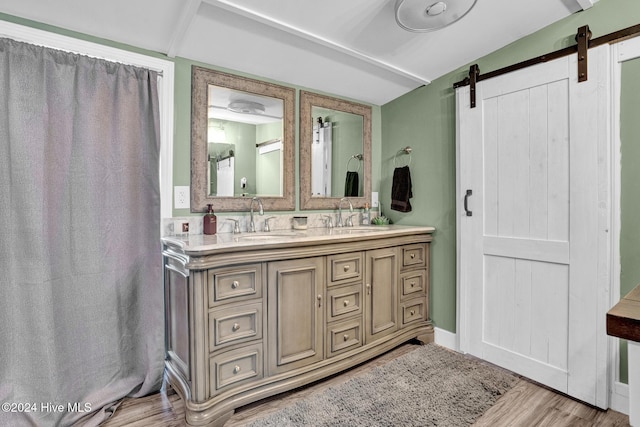 bathroom featuring wood-type flooring and vanity