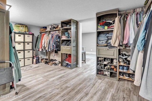 spacious closet with hardwood / wood-style floors