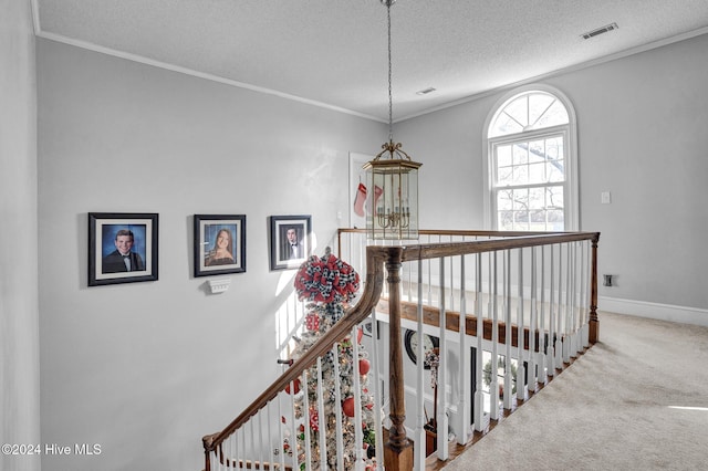 hallway featuring crown molding, carpet floors, and a textured ceiling