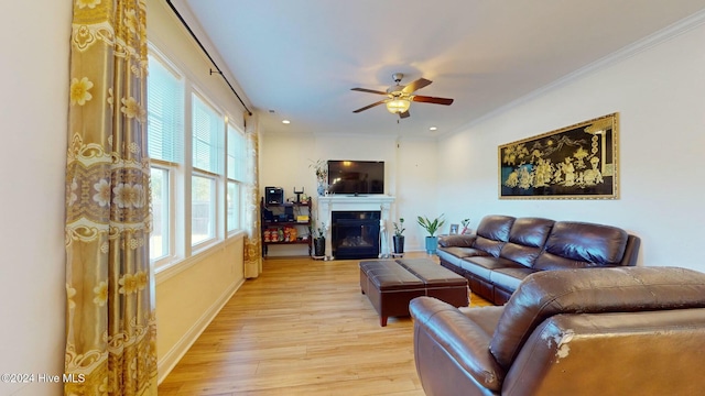 living room featuring crown molding, ceiling fan, and light hardwood / wood-style floors