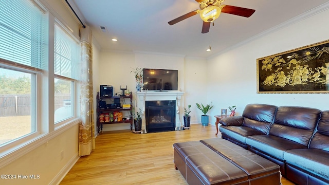 living room featuring ceiling fan, ornamental molding, and light wood-type flooring