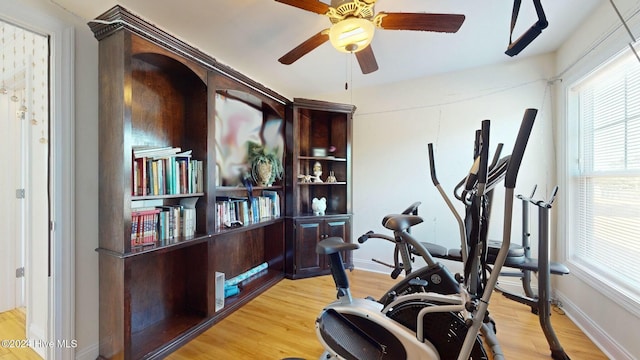 exercise room featuring ceiling fan and light wood-type flooring