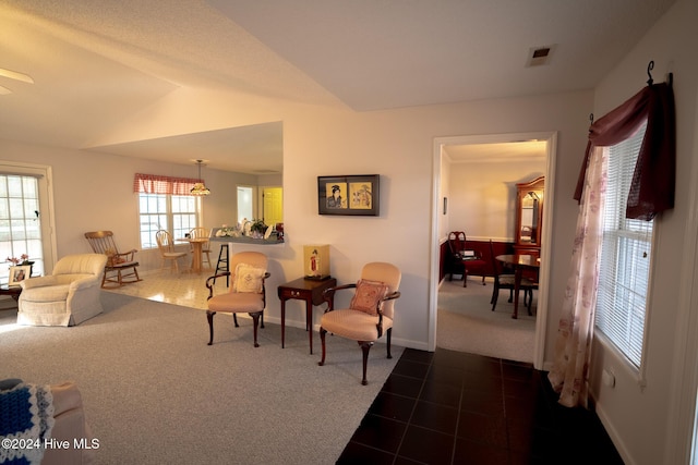 living room featuring dark carpet and vaulted ceiling