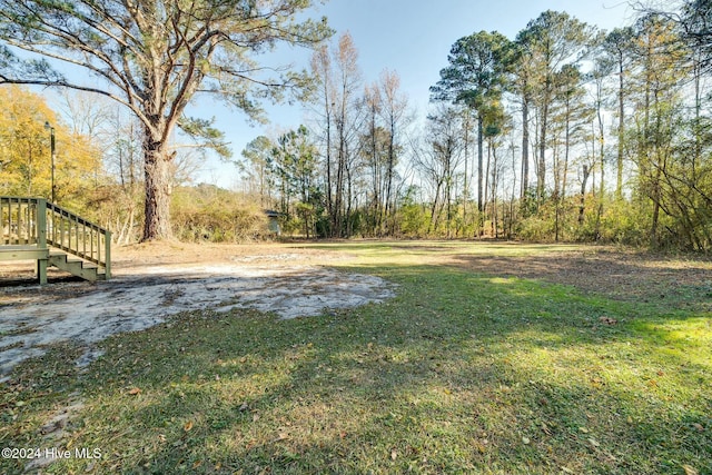 view of yard