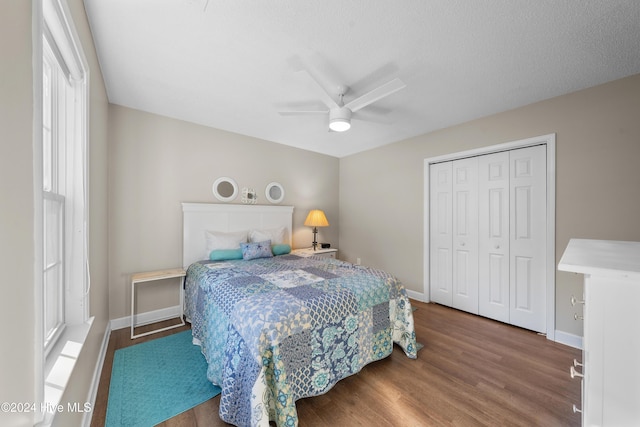 bedroom featuring ceiling fan, a closet, and wood-type flooring