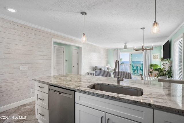 kitchen with stainless steel dishwasher, white cabinetry, and a wealth of natural light