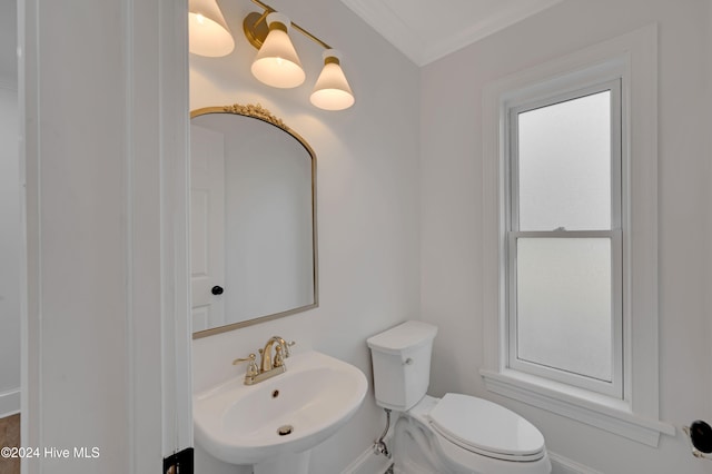 bathroom featuring crown molding, sink, and toilet