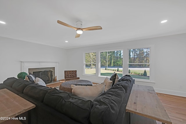 living room featuring hardwood / wood-style floors, ceiling fan, and ornamental molding