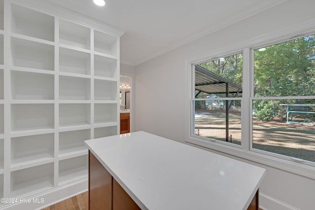 office area featuring a wealth of natural light and light hardwood / wood-style flooring