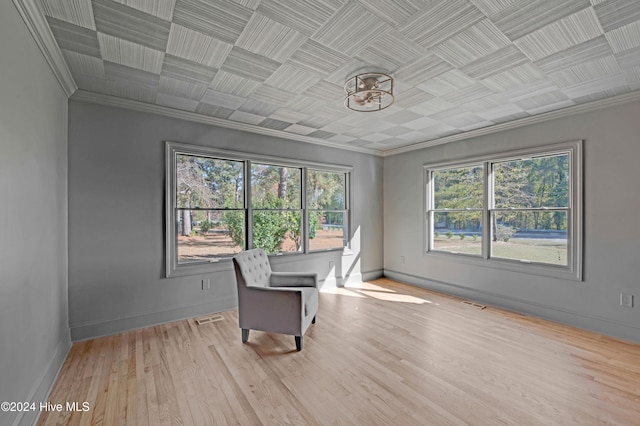 interior space featuring light hardwood / wood-style floors and ornamental molding