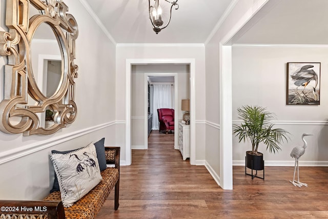 corridor featuring dark wood-type flooring and ornamental molding