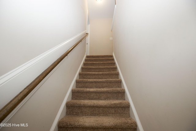 staircase with carpet