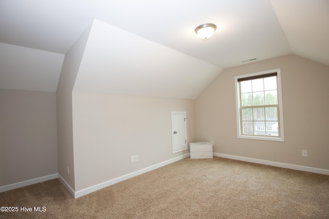 additional living space with carpet and lofted ceiling